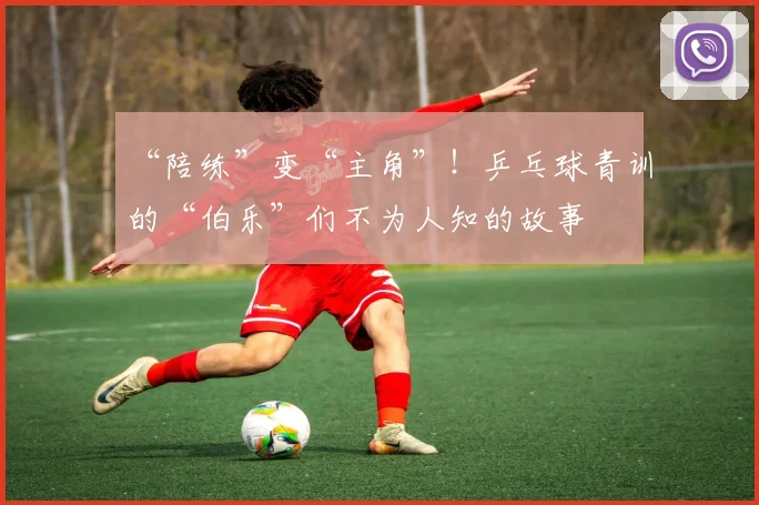“陪练”变“主角”!乒乓球青训的“伯乐”们不为人知的故事