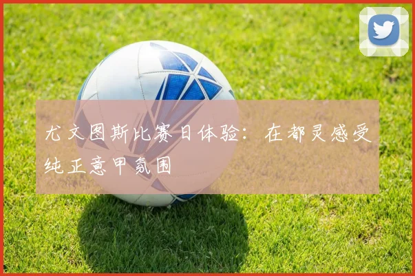 尤文图斯比赛日体验：在都灵感受纯正意甲氛围